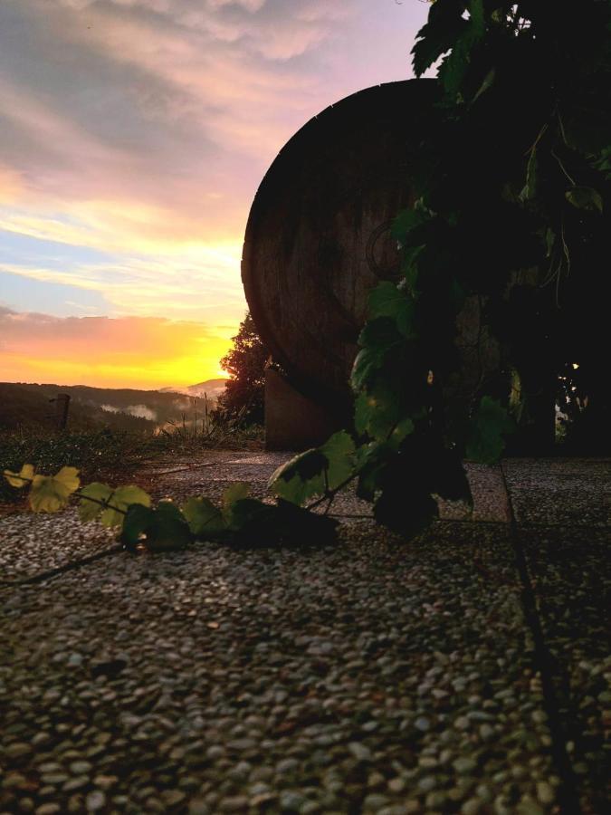 Zerko Holiday Home - Vineyard Chalet With Sauna And Jacuzzi Free Mirna Exteriér fotografie