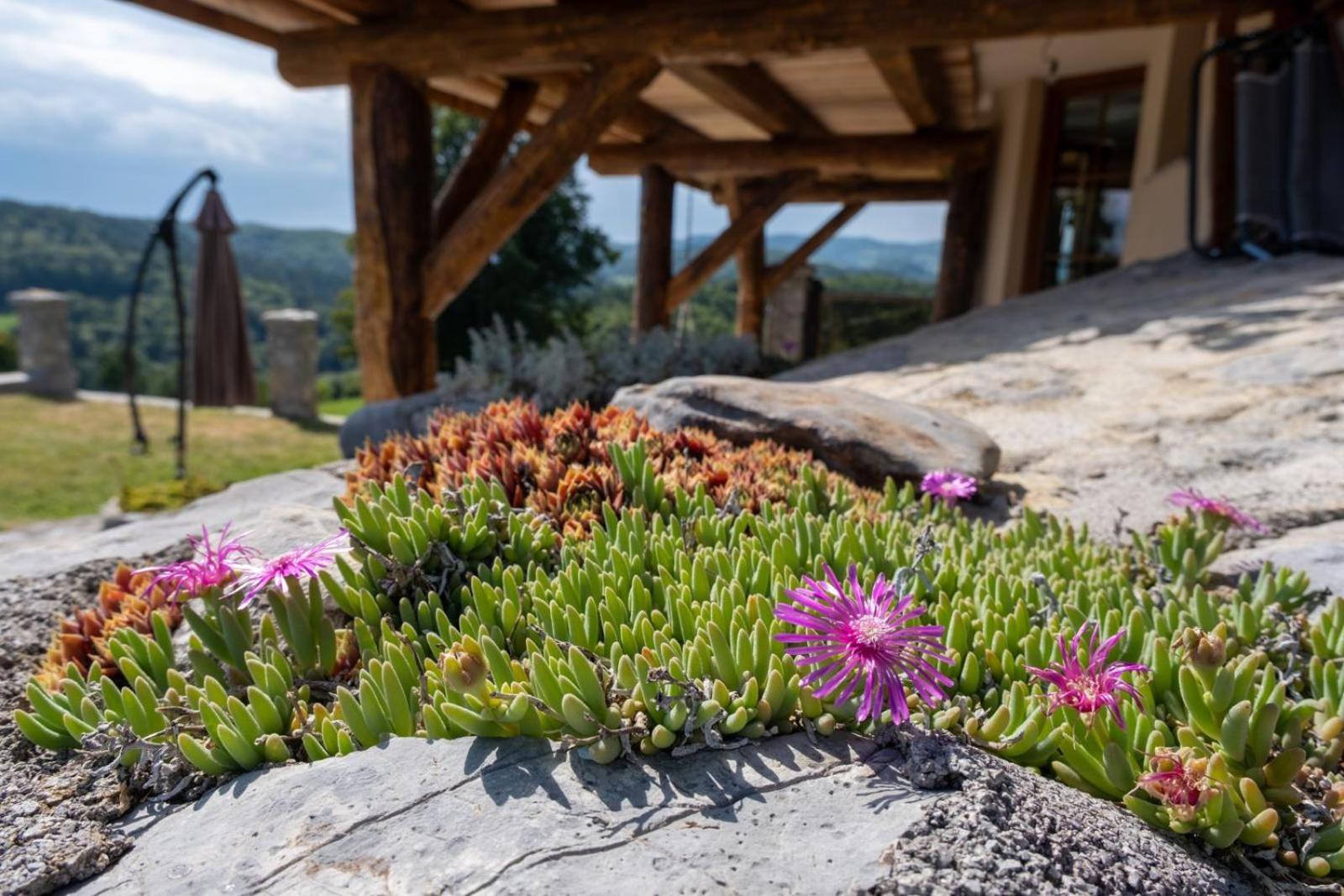 Zerko Holiday Home - Vineyard Chalet With Sauna And Jacuzzi Free Mirna Exteriér fotografie