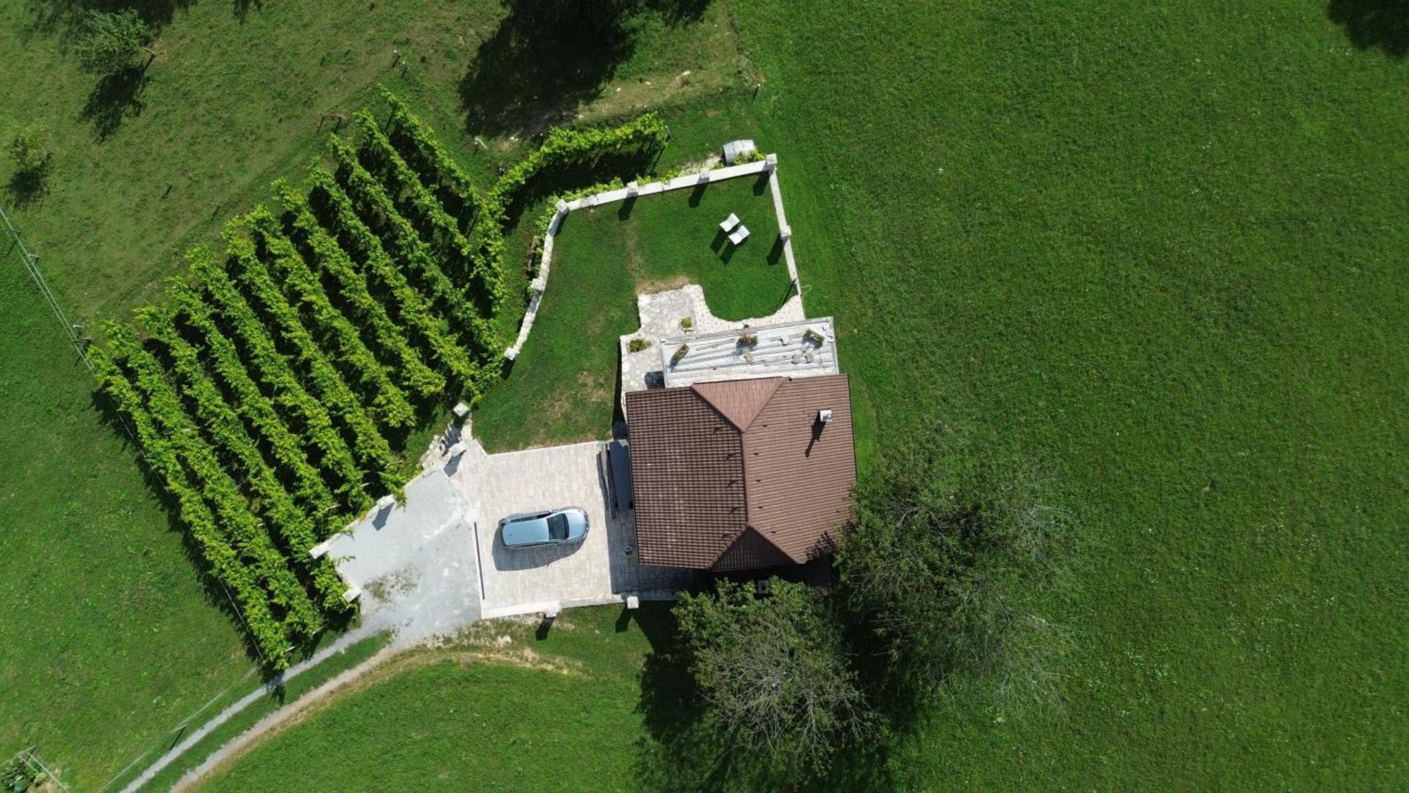 Zerko Holiday Home - Vineyard Chalet With Sauna And Jacuzzi Free Mirna Exteriér fotografie